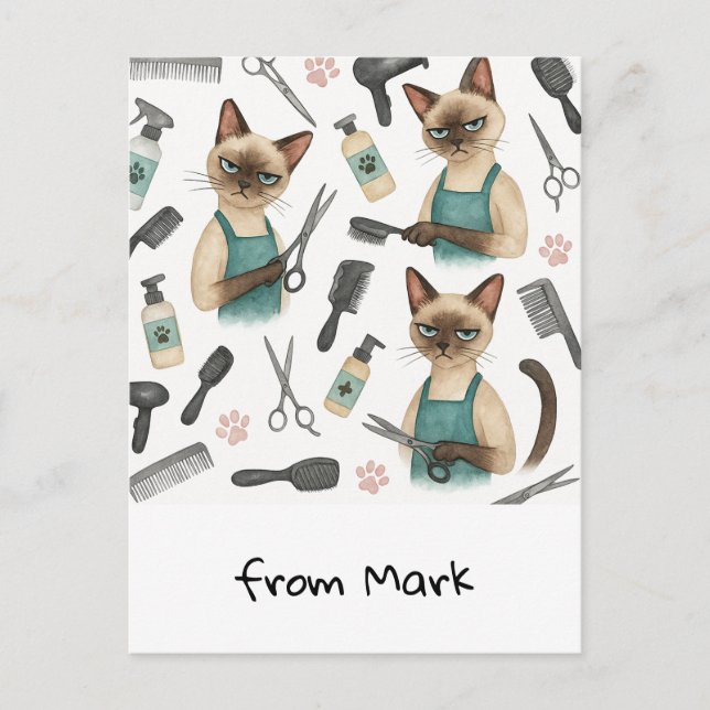 Carte Postale Coiffeuse pour chats  (Devant)