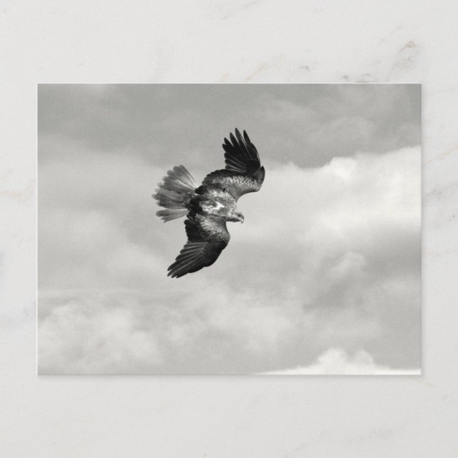 Carte Postale coin (Devant)