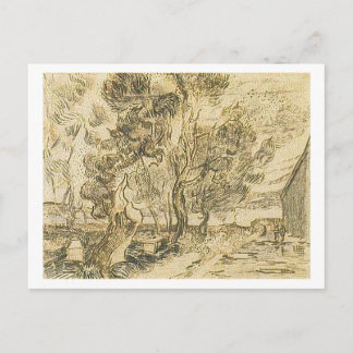 Carte Postale Coin Asile et Jardin, Vincent van Gogh
