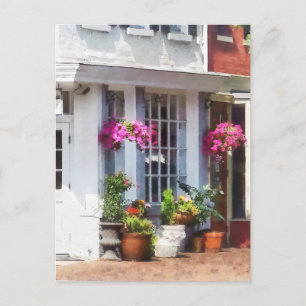 Carte Postale Coin de King Street et S Alfred Alexandria VA