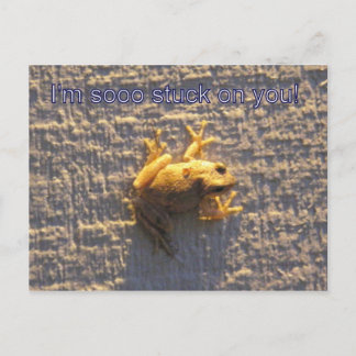 Carte Postale Coincé Sur Toi