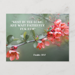 Carte Postale coing ornemental japonais avec citation de la Bibl