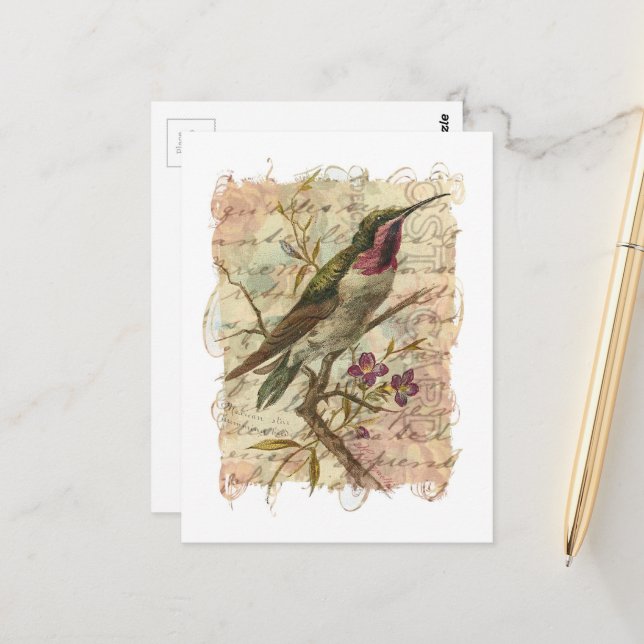 Carte Postale Colage de colibri vintage (Devant/Arrière en situation)