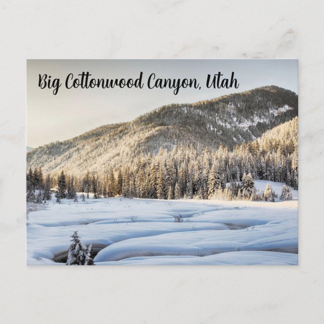 Carte Postale Cold Utah (Devant)