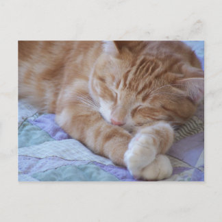 Carte Postale Cole