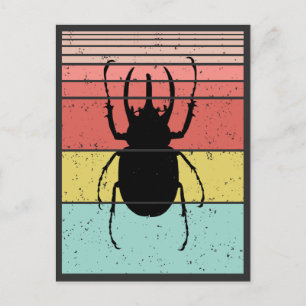 CARTE POSTALE COLÉOPTÈRE INSECTE VINTAGE