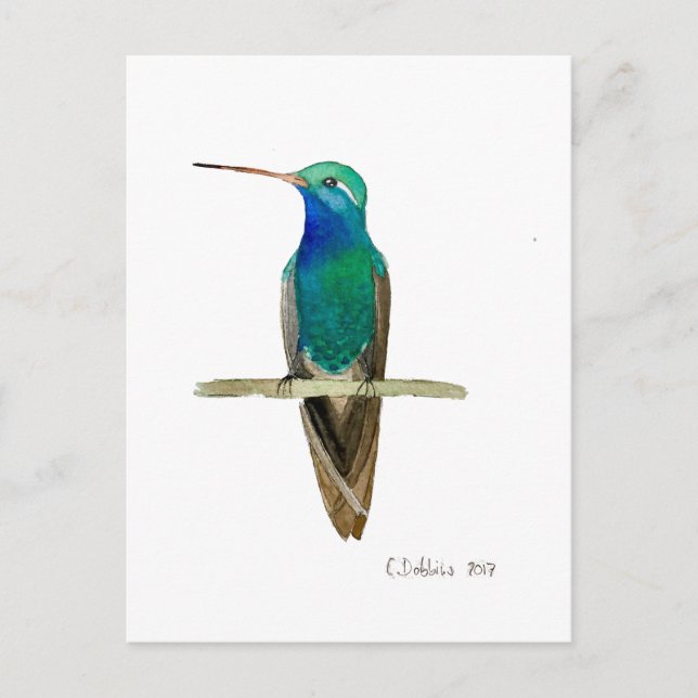 Carte Postale Colibri à bec large (Devant)