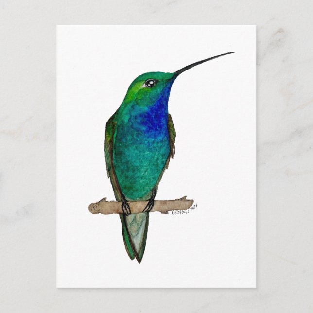 Carte Postale Colibri à dos vert (Devant)