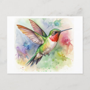 Carte Postale Colibri à gorge rubis au repos Aquarelle