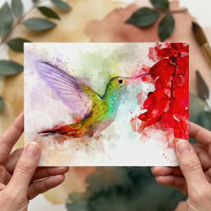 Carte Postale Colibri à l'aquarelle se nourrissant de fleur roug
