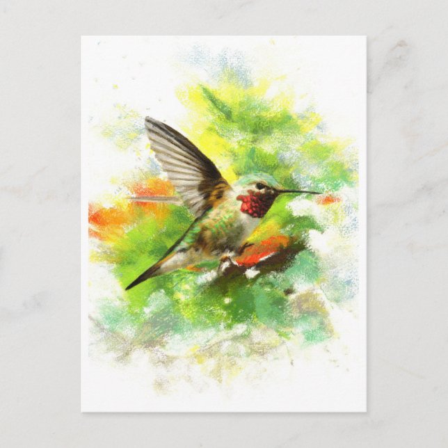 Carte Postale Colibri à queue large (Devant)