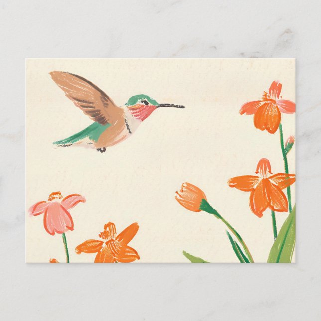 Carte Postale Colibri Calliope en vol (Devant)