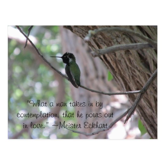 Carte Postale Colibri de citation de contemplation de Carte Postale Colibri de citation de contemplation de