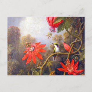 Carte Postale Colibri et Passiflora par Martin Johnson Heade