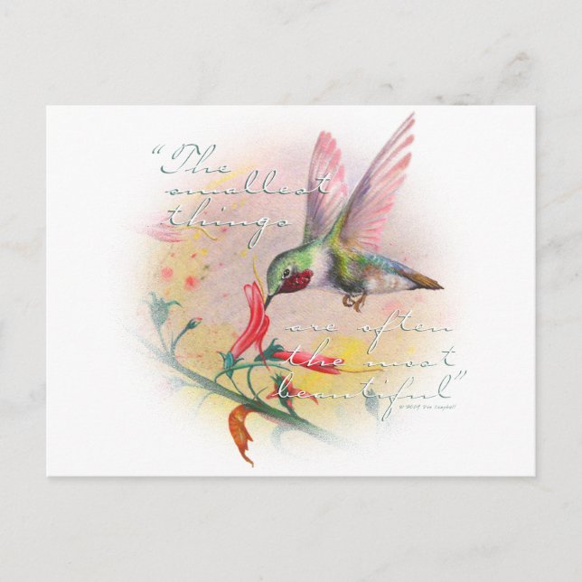 Carte Postale Colibri - Les petites choses sont les plus belles. (Devant)