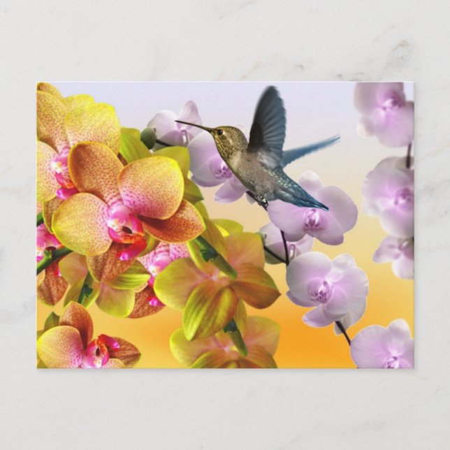 Carte Postale Colibri, Lilacs Violets, Orchidées Roses Jaunes (Devant)