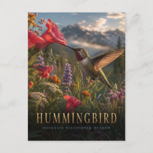 Carte Postale Colibri Prairie de montagne ANIMALS