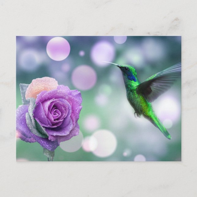 Carte Postale Colibri & Rose - Vert & Rose (Devant)