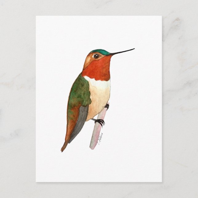 Carte Postale Colibri roux (Devant)