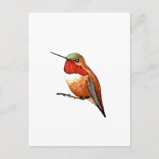 Carte Postale Colibri roux (Devant)