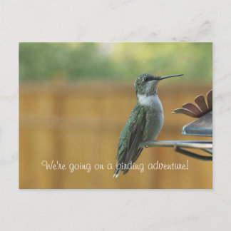 Carte Postale Colibri Ruby Throsé