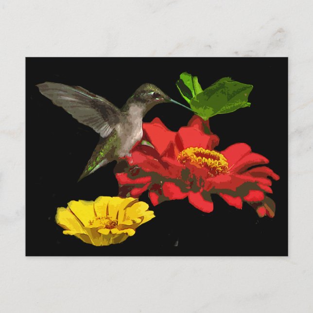 Carte Postale Colibri sur Zinnias (Devant)