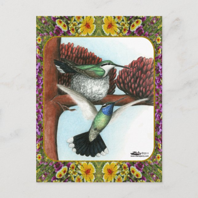 Carte Postale Colibris et fleurs #3 (Devant)