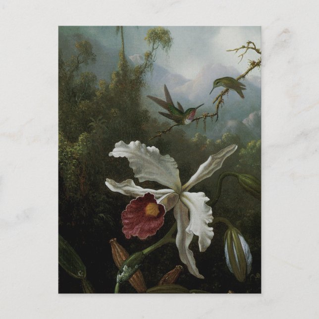 Carte Postale Colibris et orchidée blanche par Martin J. Heade (Devant)