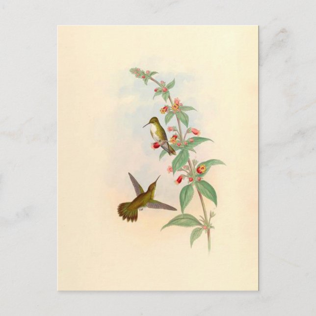 Carte postale Colibris & Fleurs (Devant)
