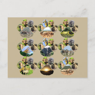 Carte postale Collage 9 Pawprint de Lion d'Afrique