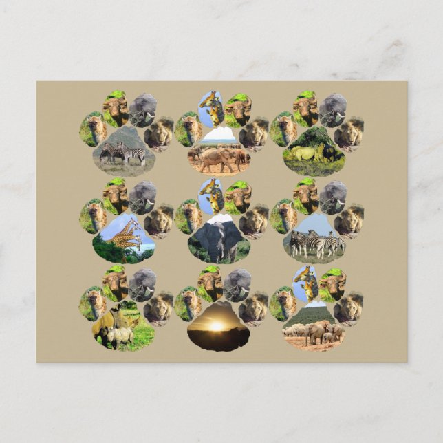 Carte postale Collage 9 Pawprint de Lion d'Afrique (Devant)