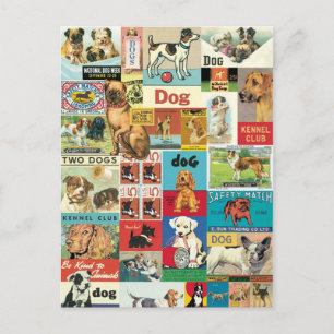 Carte Postale Collage chiens vintage