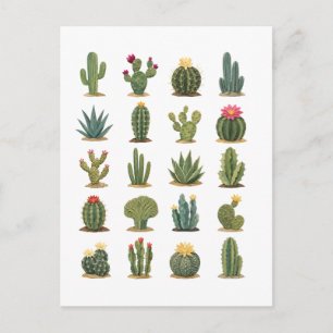 Carte Postale Collage de cactus