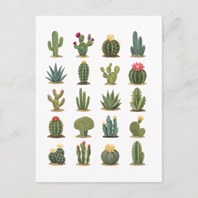 Carte Postale Collage de cactus (Devant)
