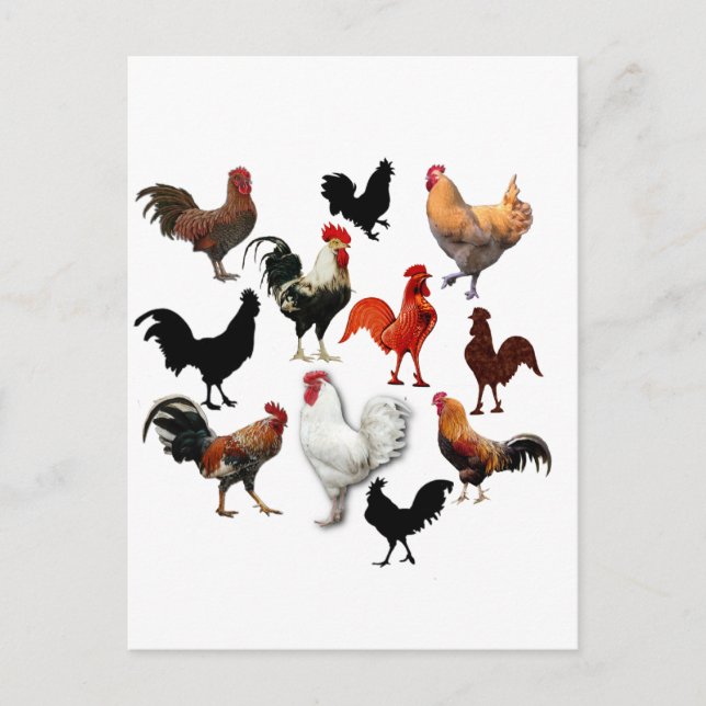 Carte Postale Collage de coq Poulets Vintages rustiques (Devant)