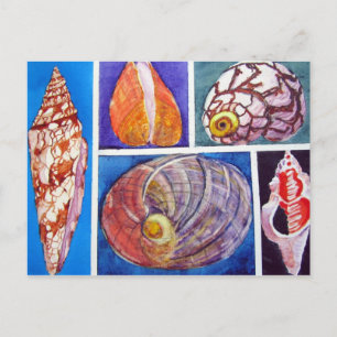 Carte Postale Collage de coquillages