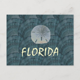 Carte Postale collage de coquillages, dollar de sable, FLORIDE