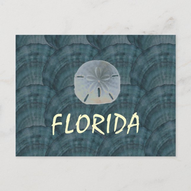 Carte Postale collage de coquillages, dollar de sable, FLORIDE (Devant)