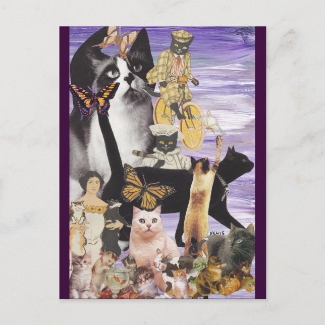 Carte Postale Collage de Cute (Devant)