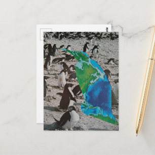 Carte Postale Collage de manchots