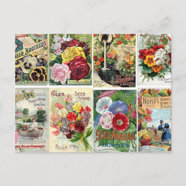 Carte Postale Collage des catalogues de semences de fleurs vinta (Devant)
