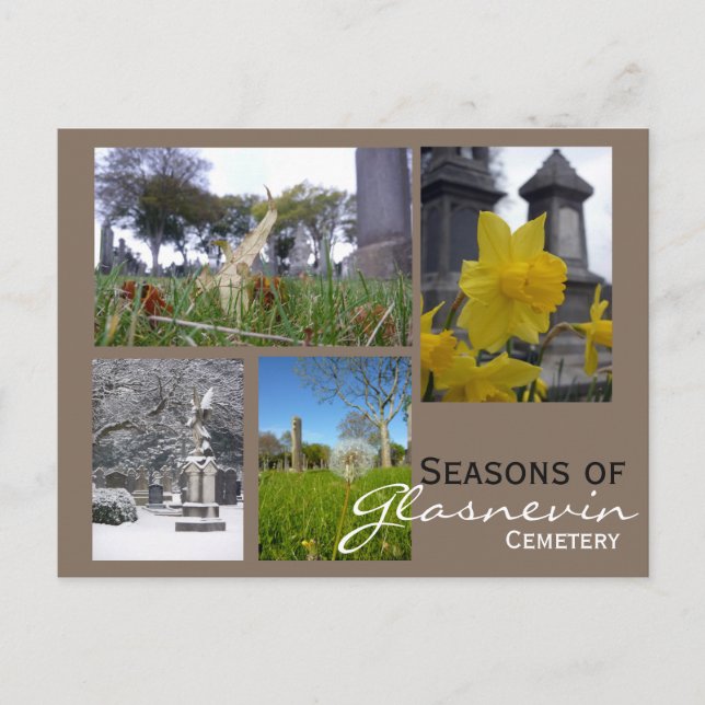 Carte Postale Collage des saisons de Glasnevin (Devant)