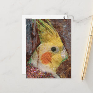 Carte Postale Collage d'oiseau