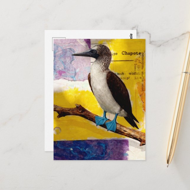 Carte Postale Collage d'oiseau aux pieds bleus (Devant/Arrière en situation)