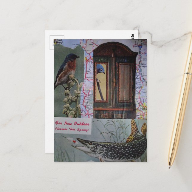 Carte Postale Collage d'oiseaux et de poissons (Devant/Arrière en situation)