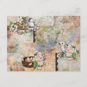 Carte Postale Collage d'oiseaux vintages et d'éphémères