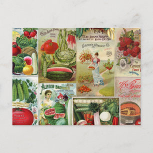 Carte Postale Collage du catalogue des semences de fruits et de