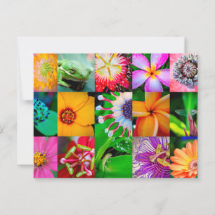 Carte Postale Collage Fleur Jardin Floral Toutes les occasions V