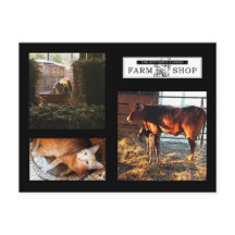 Carte postale Collage Jardin de cuisine