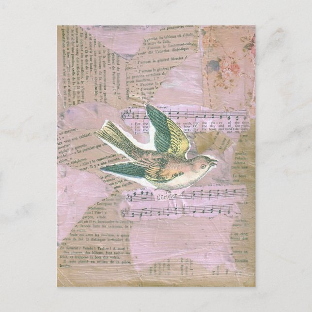 Carte Postale Collage multimédia mixte d'oiseaux (Devant)